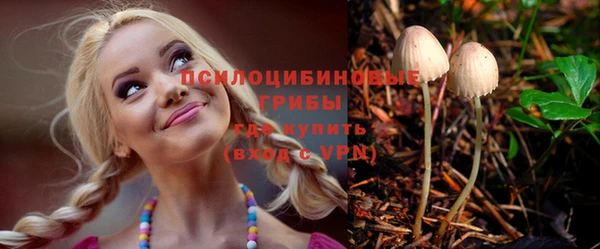 прущие крисы Новозыбков