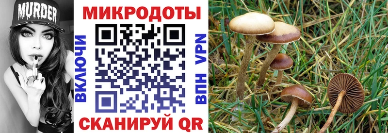Псилоцибиновые грибы MAGIC MUSHROOMS  Чапаевск 